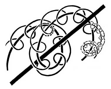 Coiled Strings Coiled Strings